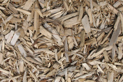 biomass boilers Thorpe Willoughby